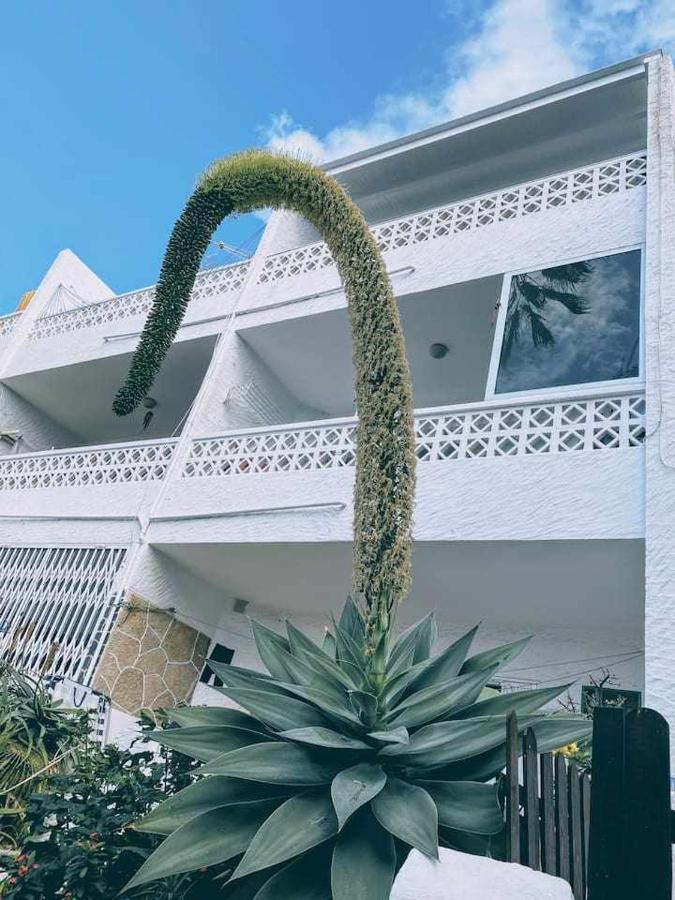 Loft On The Beach Corralejo Irent Fuerteventura Eksteriør billede